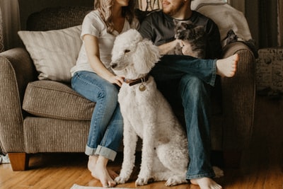 A couple sitting next to the dog in the room on the sofa
